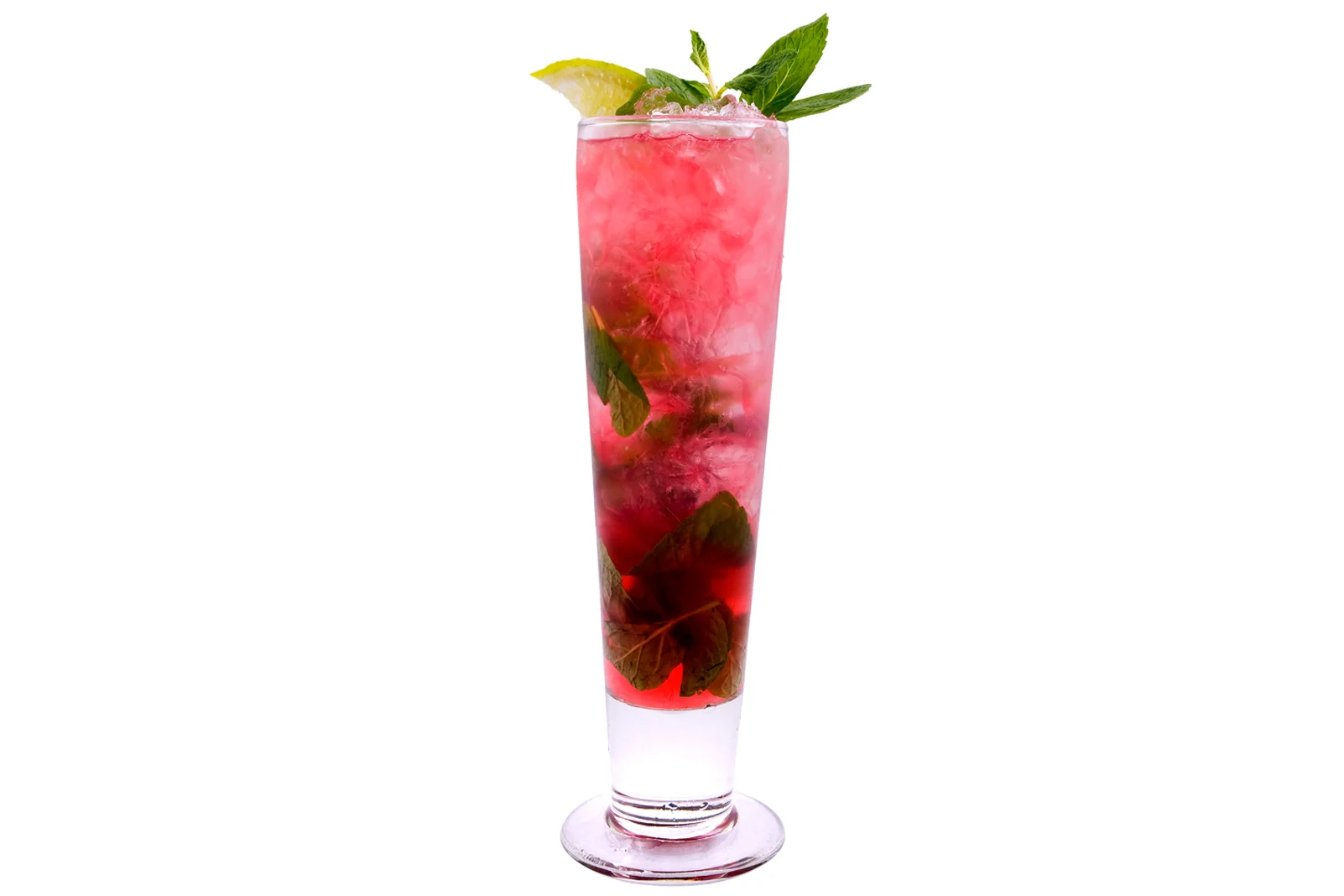 Cranberry Pomegranate Mojito